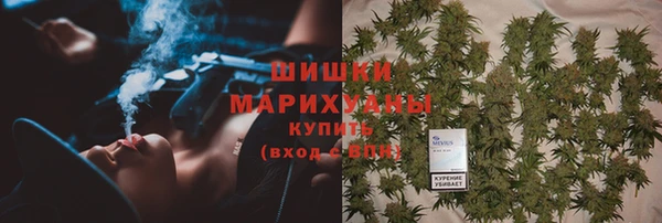ГАЛЛЮЦИНОГЕННЫЕ ГРИБЫ Богородск