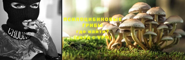 скорость Богданович