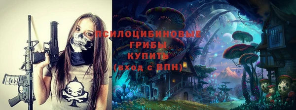 ГАЛЛЮЦИНОГЕННЫЕ ГРИБЫ Богородск