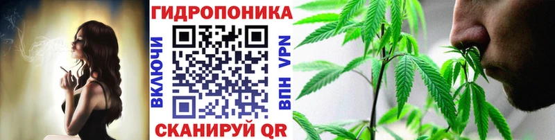 Каннабис White Widow  MEGA зеркало  Иркутск  как найти  